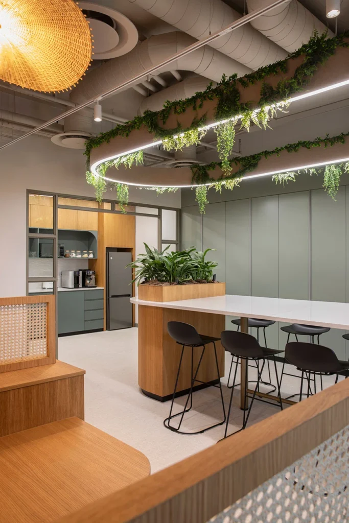 Canteen area with furniture and hanging planters in European Investment Bank office in Johannesburg