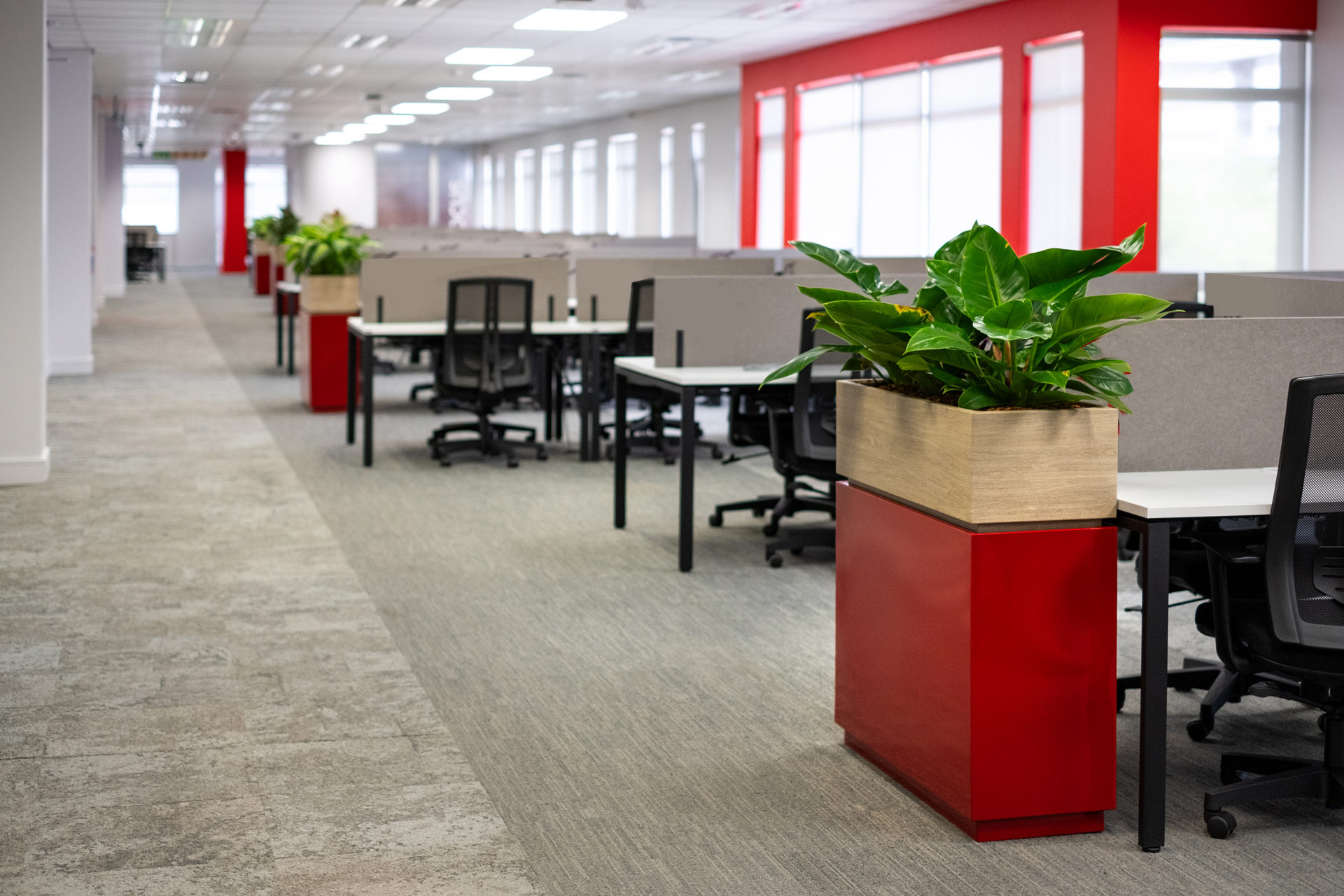 financial client planters ergonomic office chairs