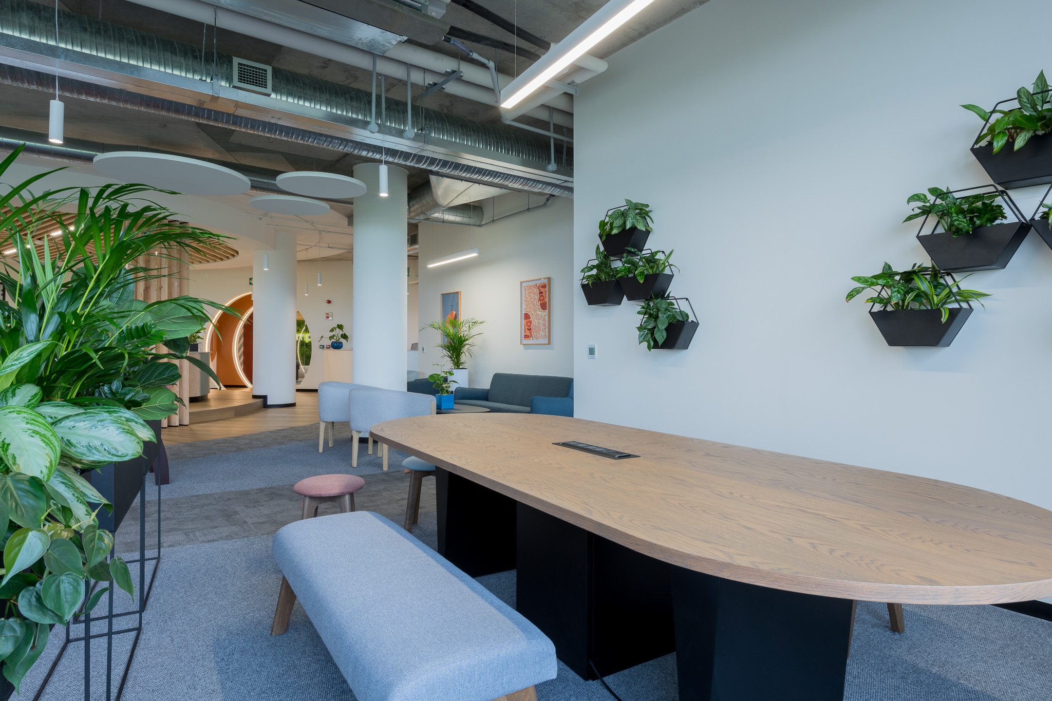 Collaborative area with floating wall planters in Impact office in Cape Town