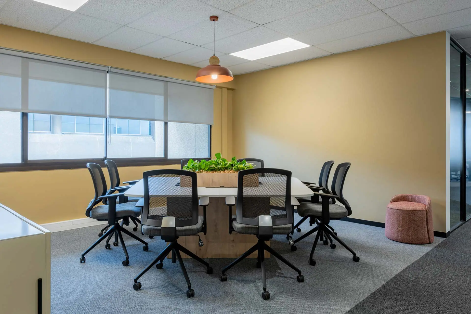 Meeting room with table and planter for PepsiCo office furniture in Cape Town
