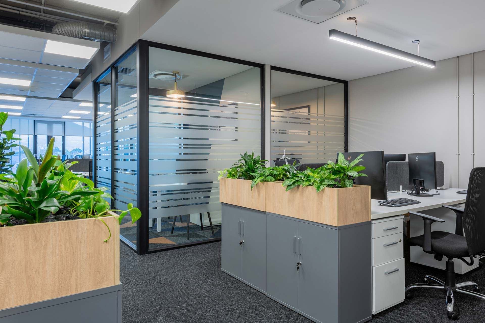 globeleq cape town workspace with planter boxes