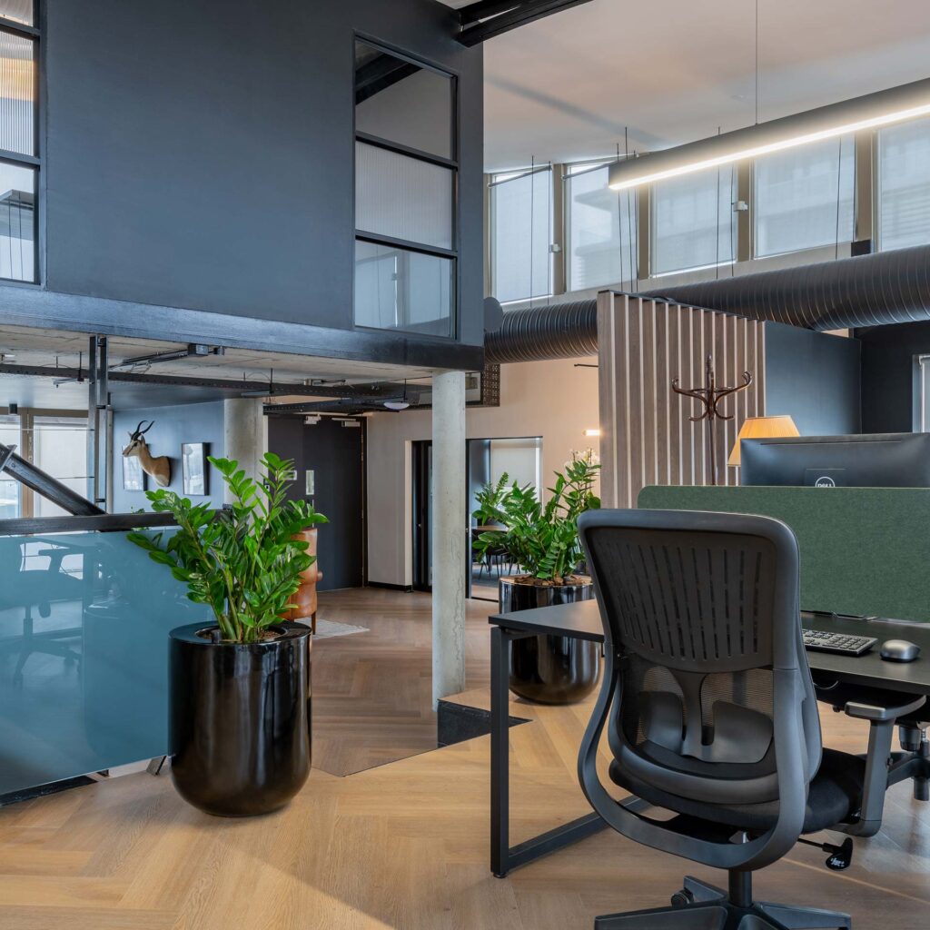 Lion Capital Cape Town office with ergonomic chairs, modern desks, partitions and black gloss planters
