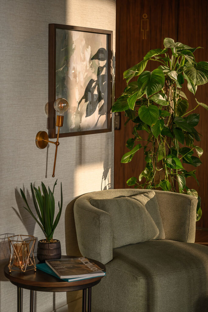 Soma Bay Cairo office with contemporary armchair, decorative planters and artwork, showcasing curated commercial furniture procurement