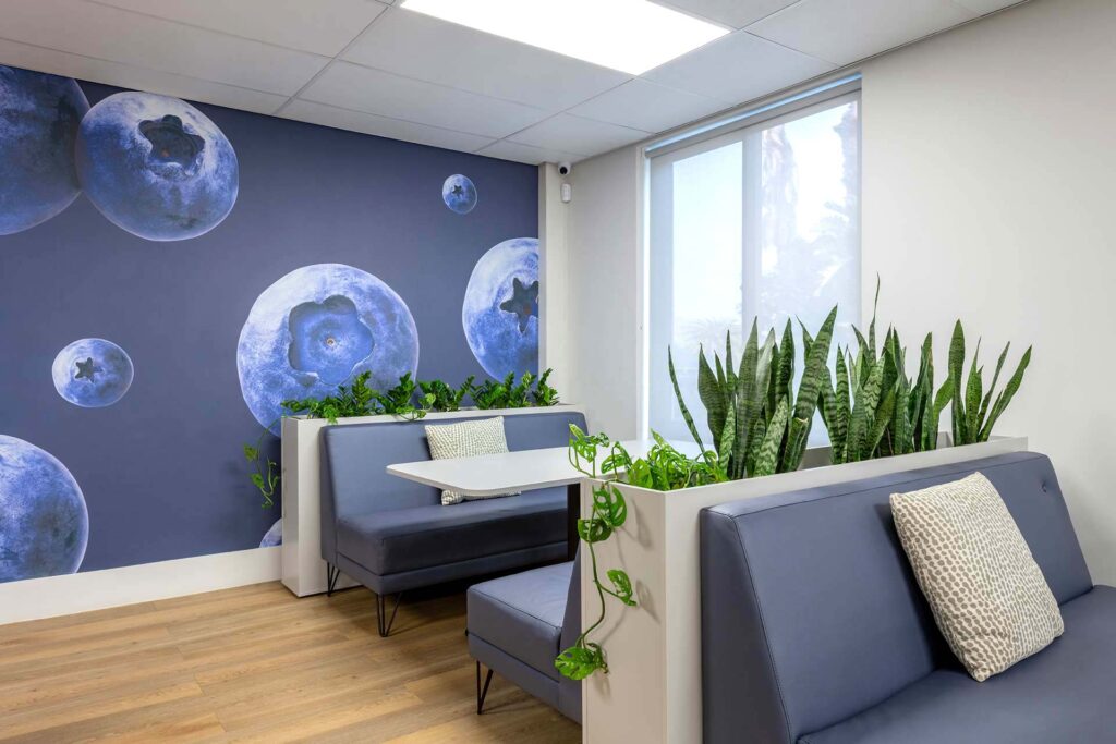 United Exports Paarl's new office features a canteen, booth seating, custom upholstery, and modern white planters.